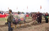 Tái hiện hình ảnh vua Lê Đại Hành đi cày ở Hà Nam